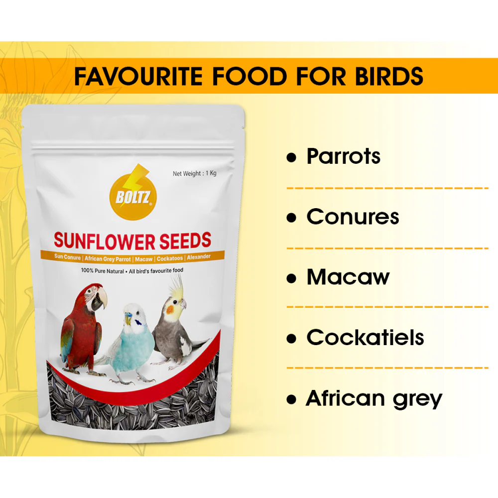 Boltz Striped Sunflower Seeds Bird Food - Image 4
