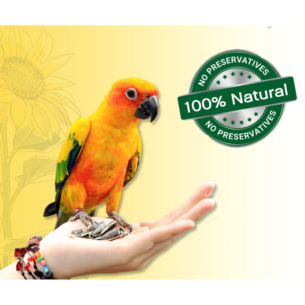 Boltz Striped Sunflower Seeds Bird Food - Image 7