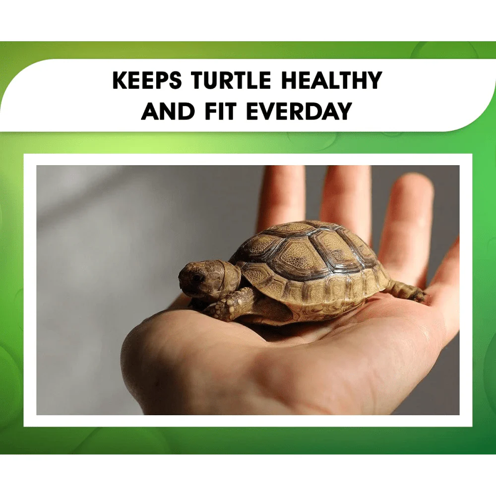Boltz Turtle Food - Image 9