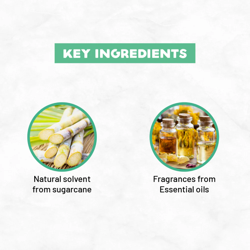 Born Good Plant Based Biodegradable and Non Toxic Air freshener Spray for Home and Office - Image 3