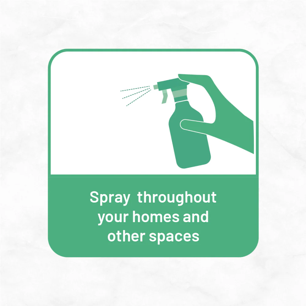 Born Good Plant Based Biodegradable and Non Toxic Air freshener Spray for Home and Office - Image 6