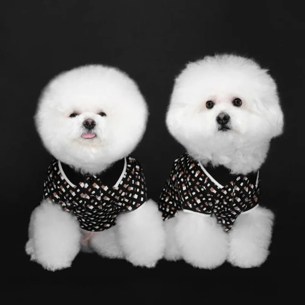 Boss Classic Polo Tshirt for Dogs (Monogram) - Image 3