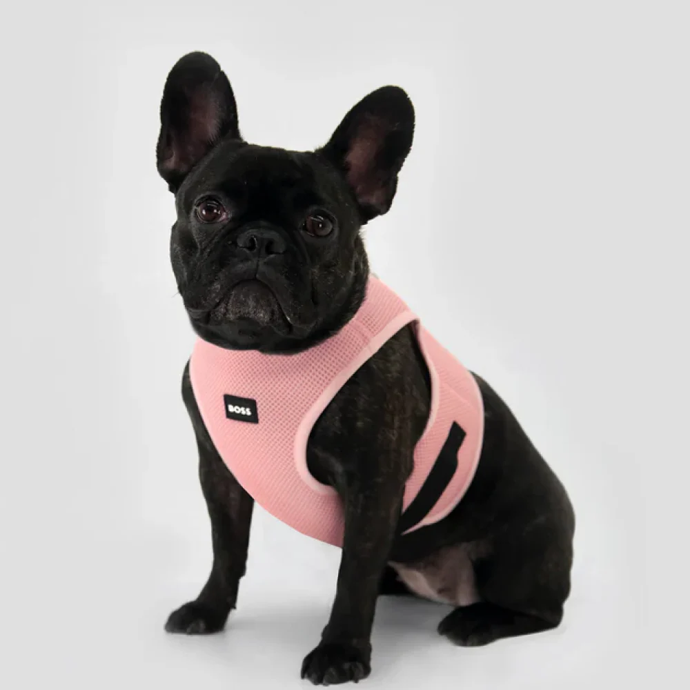 Boss Core Walk Harness for Dogs (Pink Cream) - Image 4