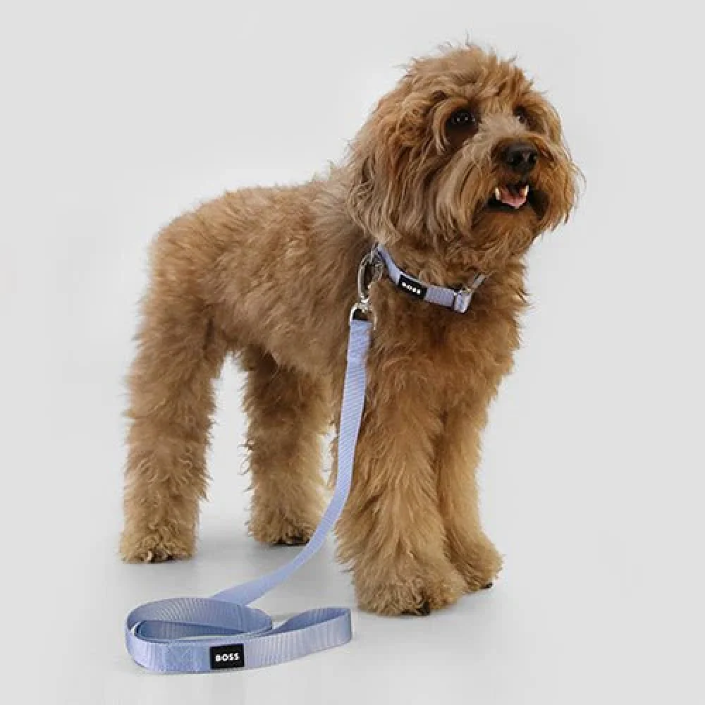 Boss Core Walk Leash for Dogs (Bel Air Blue) - Image 4