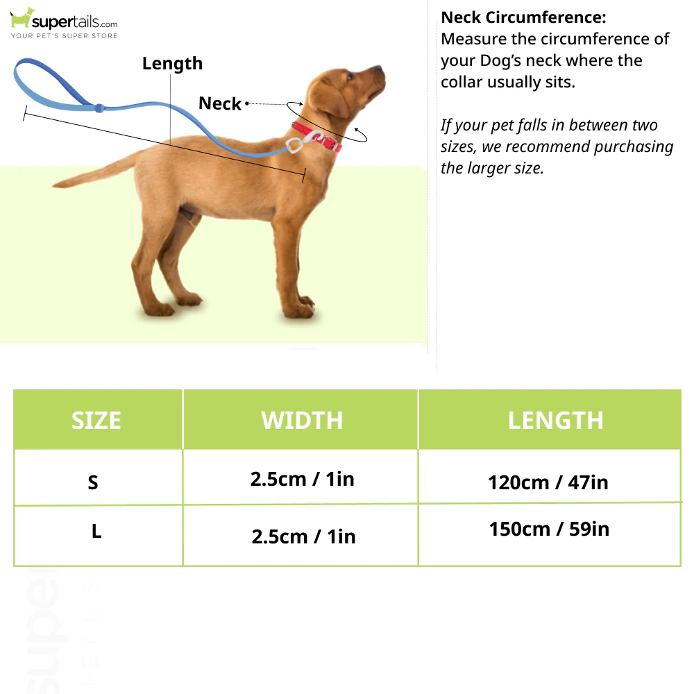 Boss Core Walk Leash for Dogs (Monogram) - Image 2