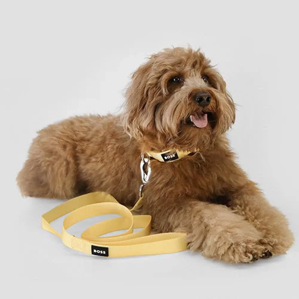 Boss Core Walk Leash for Dogs (Sandily Yellow) - Image 3