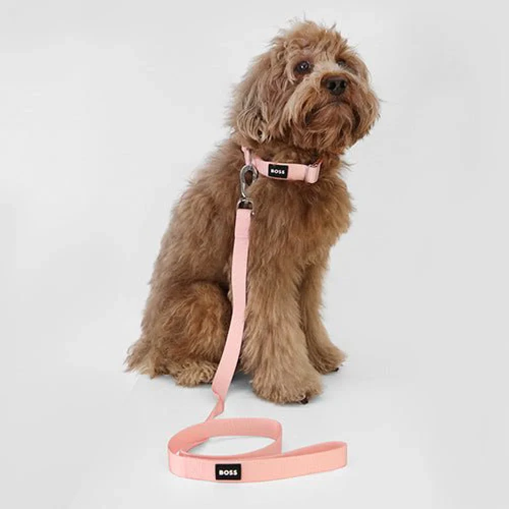 Boss Core Walk Leash for Dogs (Pink Cream) - Image 4