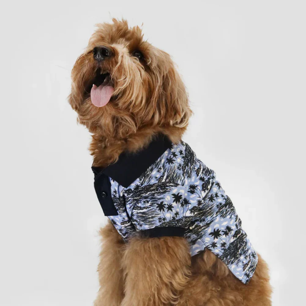 Boss Polo Tshirt for Dogs (Blue Palm) - Image 4