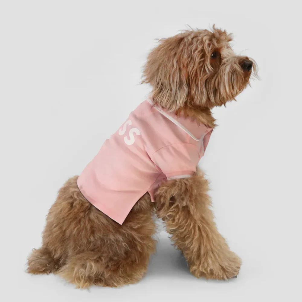 Boss Polo Tshirt for Dogs (Pink Cream) - Image 3