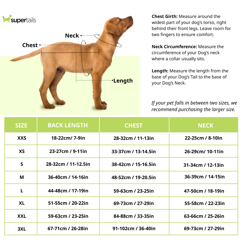 Boss Raincoat for Dogs (Camel) - Image 2