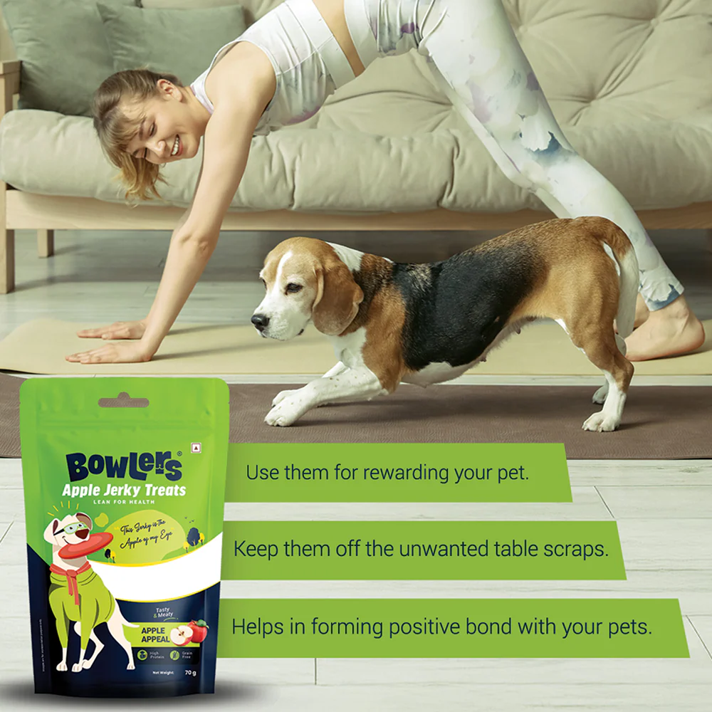 Bowlers Apple Jerky Dog Treats - Image 5