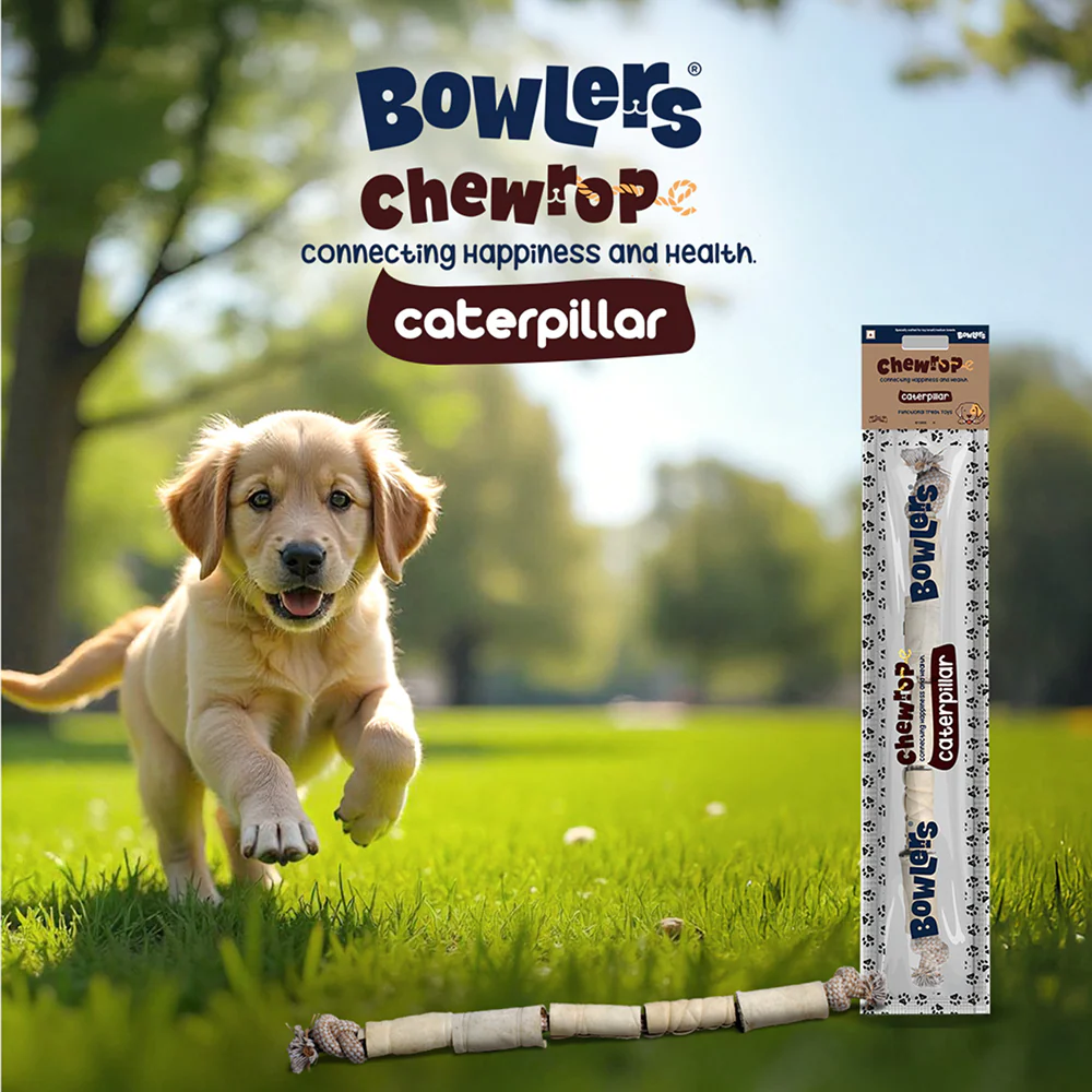 Bowlers Chewrope Caterpillar Functional Dog Treat Toy - Image 6