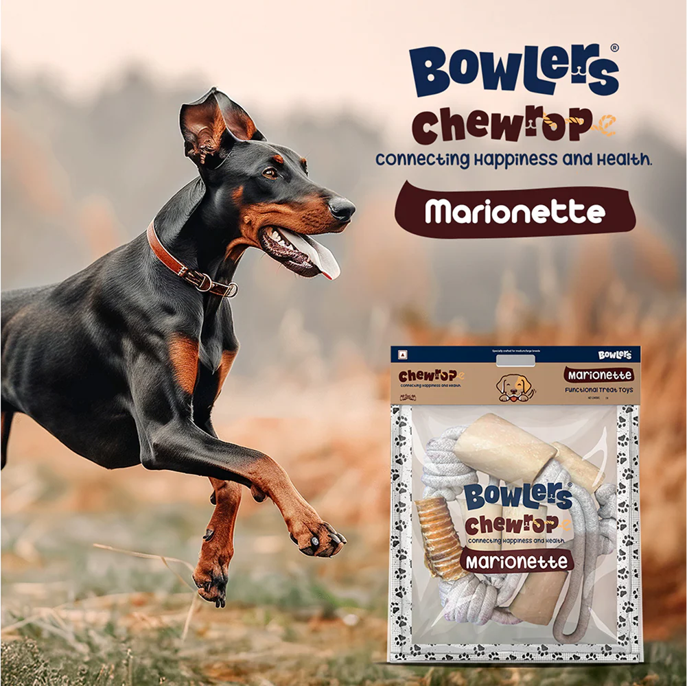 Bowlers Chewrope Marionette Rope Chew Functional Dog Treat Toy - Image 3