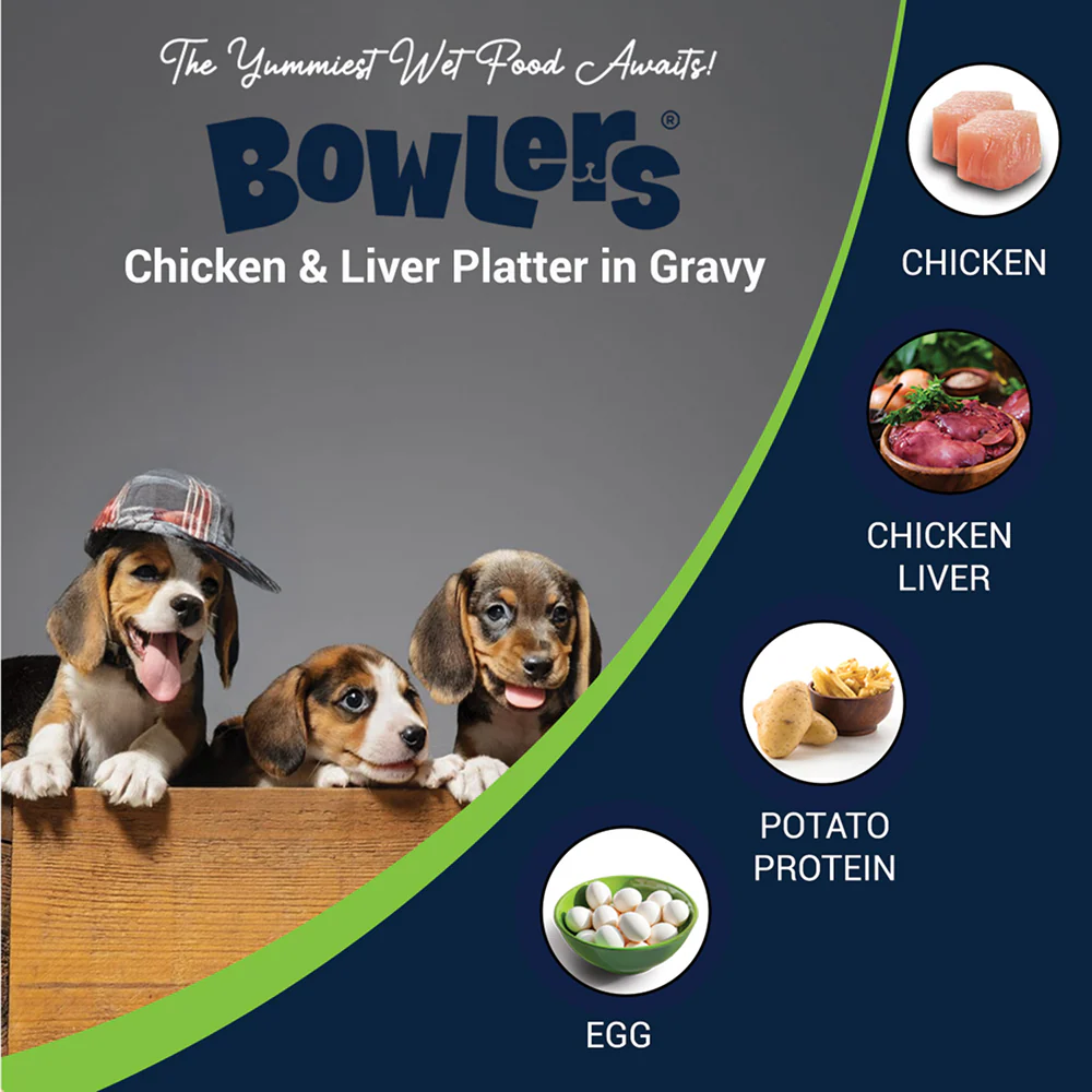 Bowlers Chicken & Milk Nutrimax Puppy Dog Dry and Chicken & Liver Recipe in Gravy Puppy Dog Wet Food Combo - Image 11