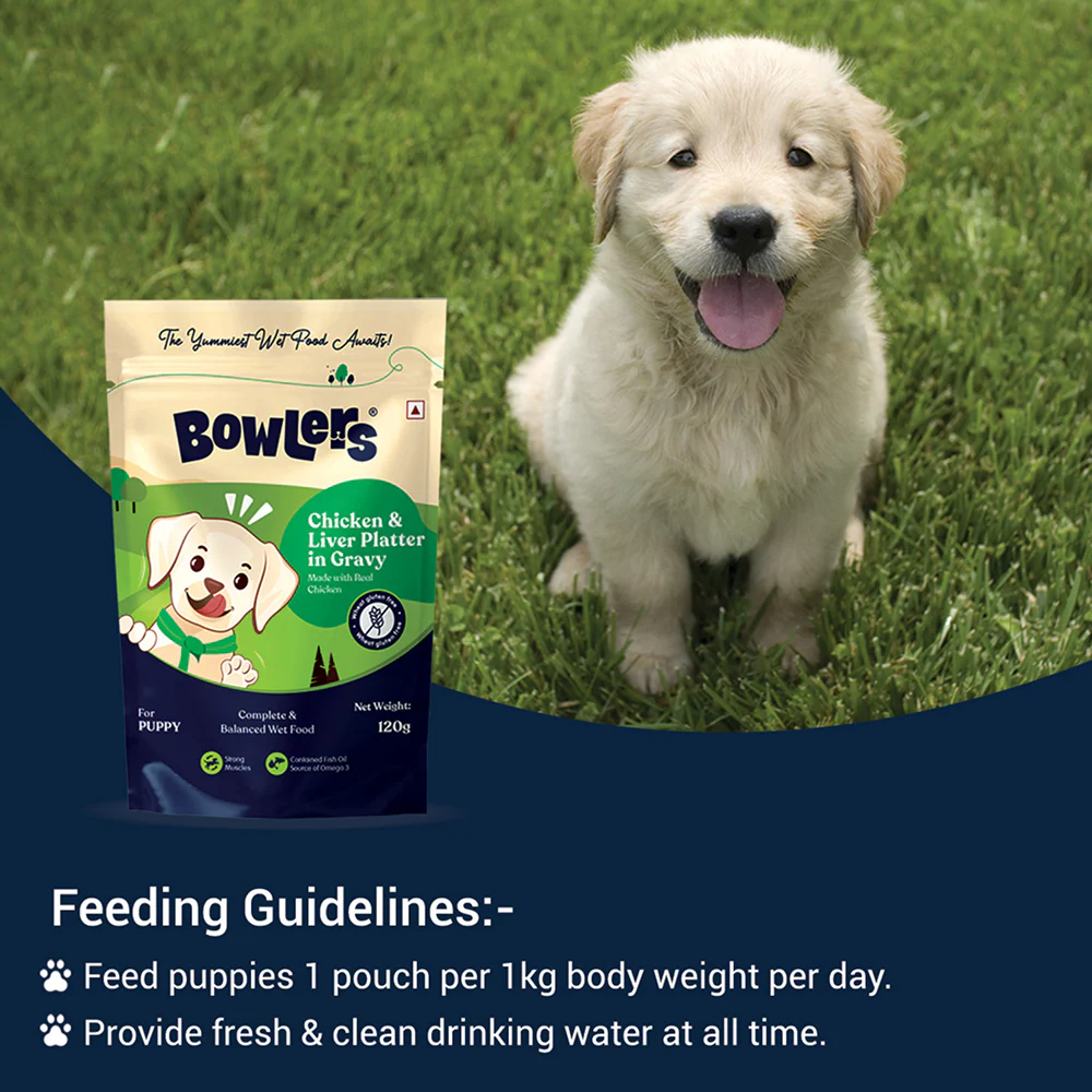 Bowlers Chicken & Milk Nutrimax Puppy Dog Dry and Chicken & Liver Recipe in Gravy Puppy Dog Wet Food Combo - Image 13