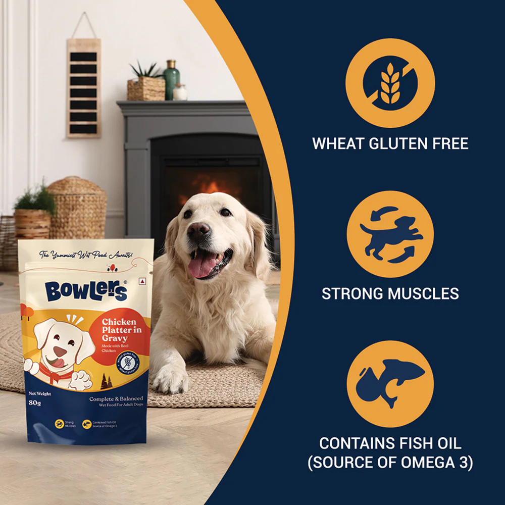 Bowlers Chicken Recipe in Gravy Dog Wet Food - Image 2