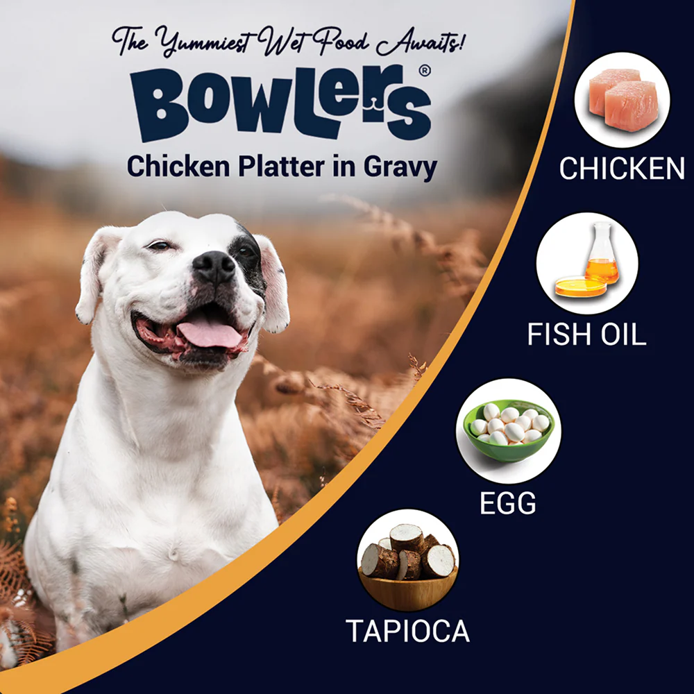 Bowlers Chicken Recipe in Gravy Dog Wet Food - Image 3