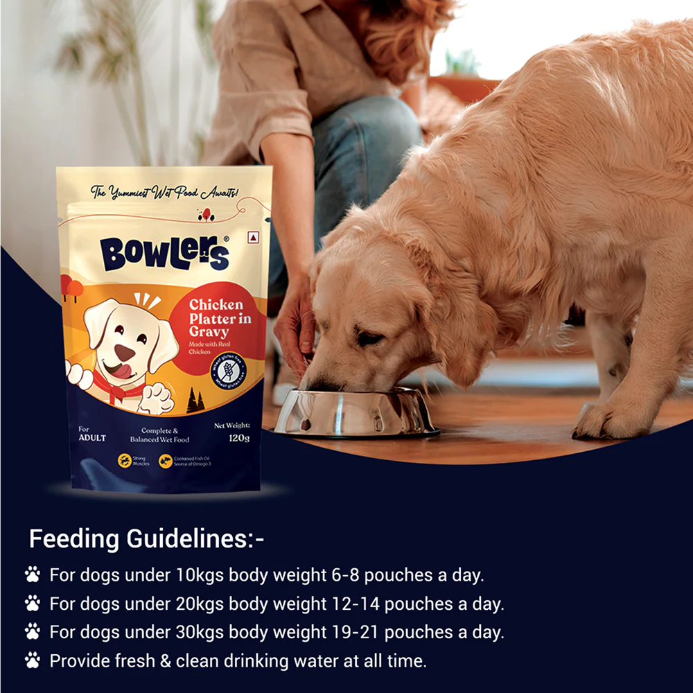 Bowlers Chicken Recipe in Gravy Dog Wet Food - Image 5