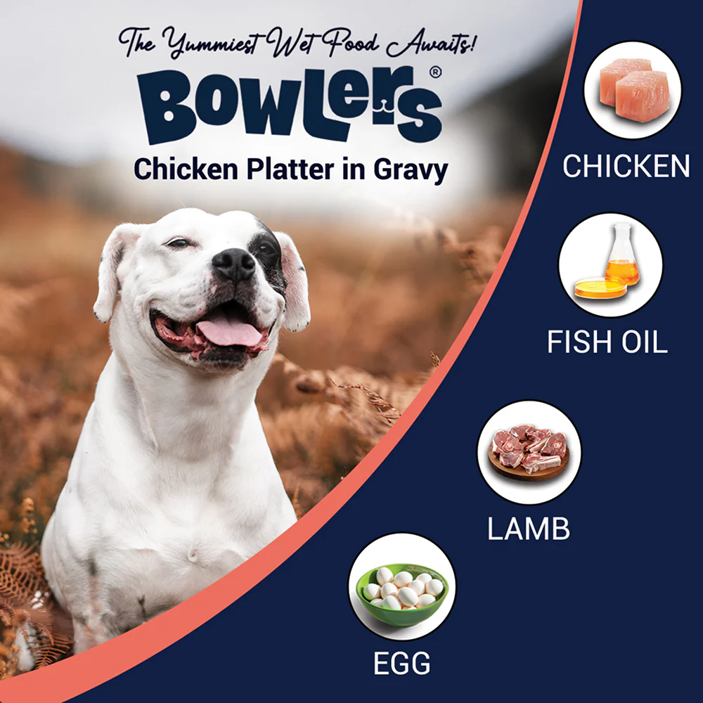 Bowlers Lamb in Gravy Adult Dog Wet Food - Image 3
