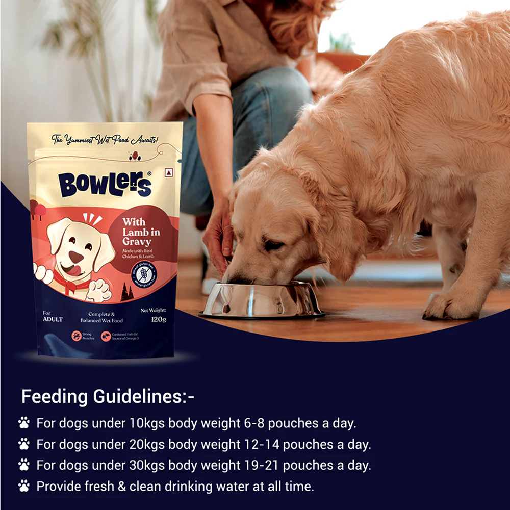 Bowlers Lamb in Gravy Adult Dog Wet Food - Image 5