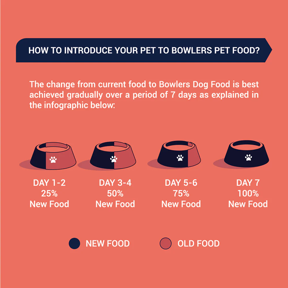 Bowlers Lamb in Gravy Adult Dog Wet Food - Image 6