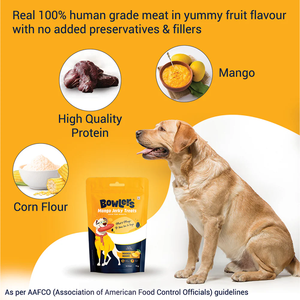 Bowlers Mango Jerky Dog Treats - Image 2