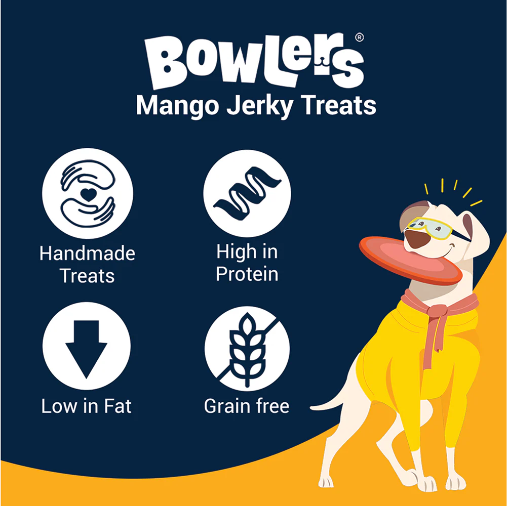 Bowlers Mango Jerky Dog Treats - Image 6