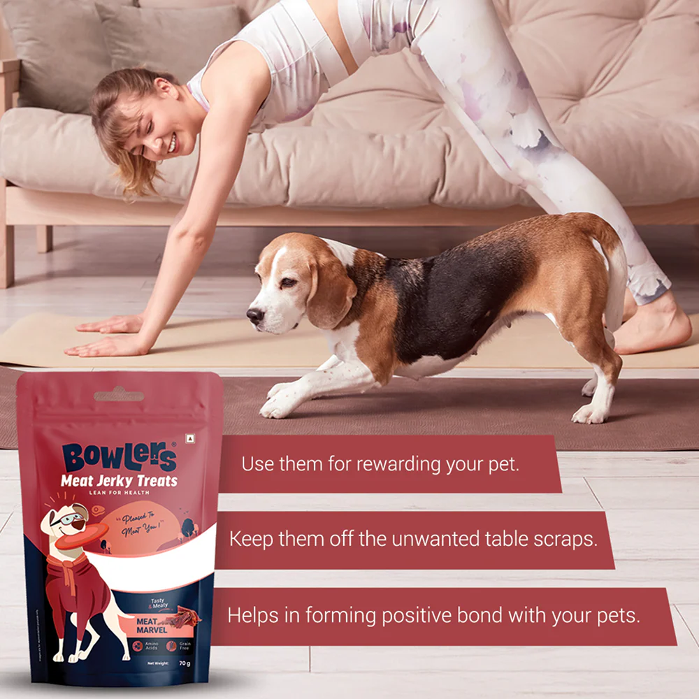 Bowlers Meat Jerky Dog Treats - Image 3