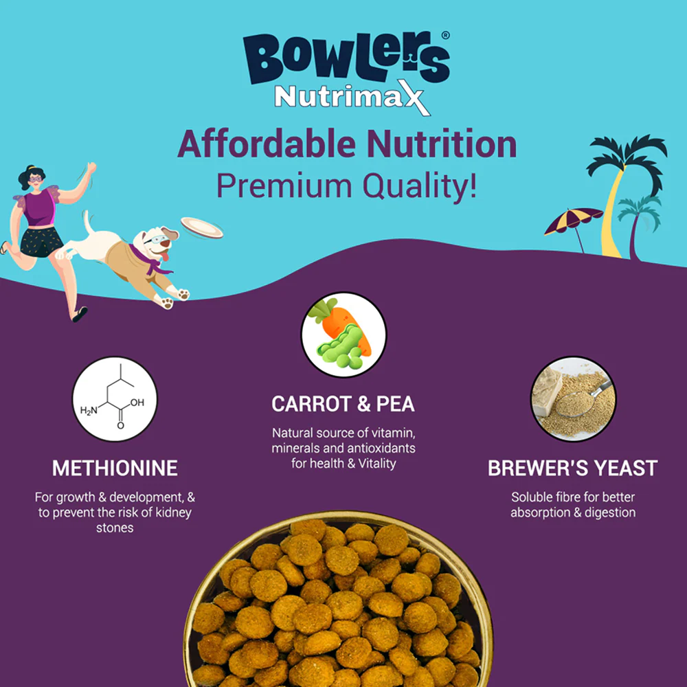 Bowlers Nutrimax Chicken & Vegetables Adult Dry and Lamb in Gravy Adult Dog Wet Food Combo - Image 2