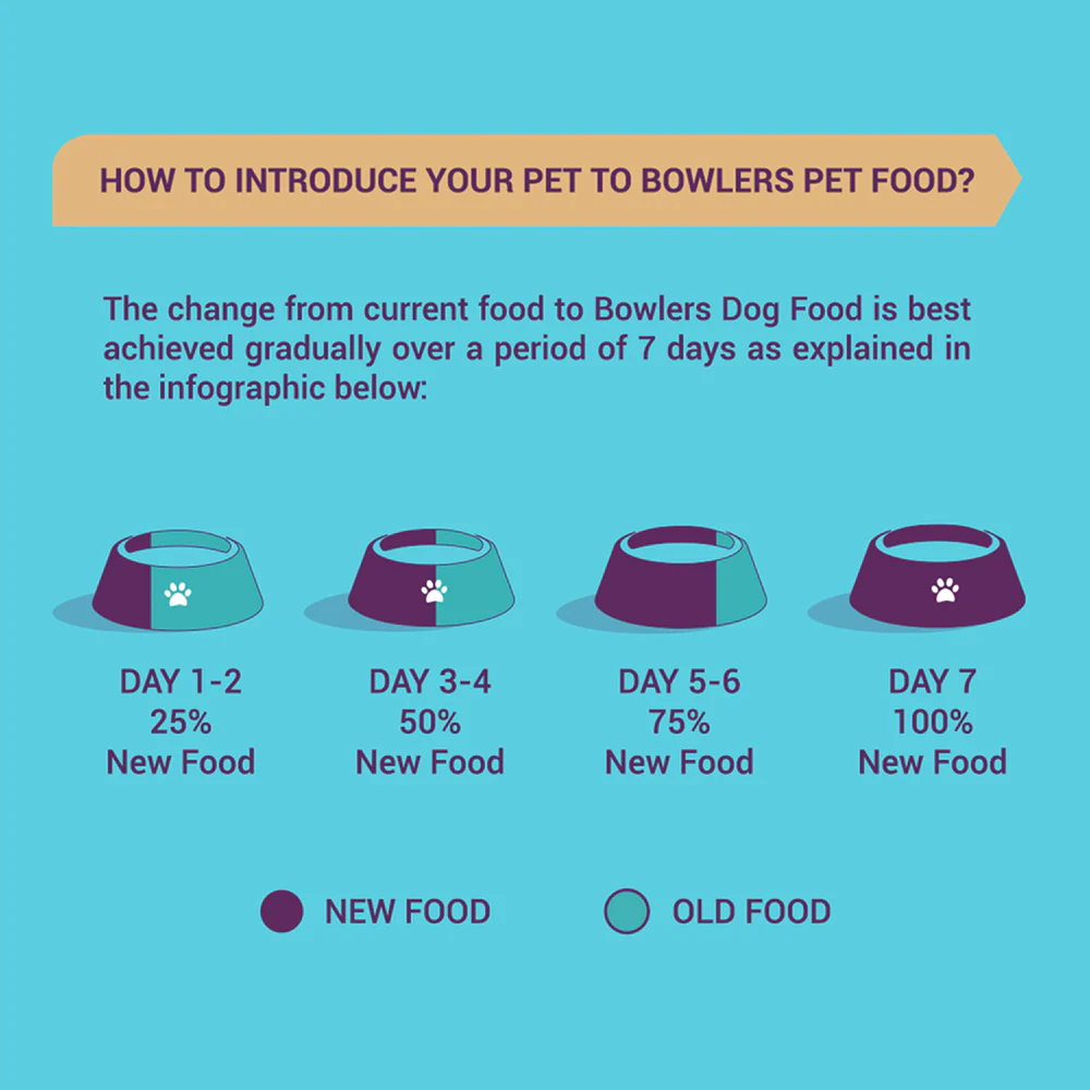 Bowlers Nutrimax Chicken & Vegetables Adult Dry and Lamb in Gravy Adult Dog Wet Food Combo - Image 6