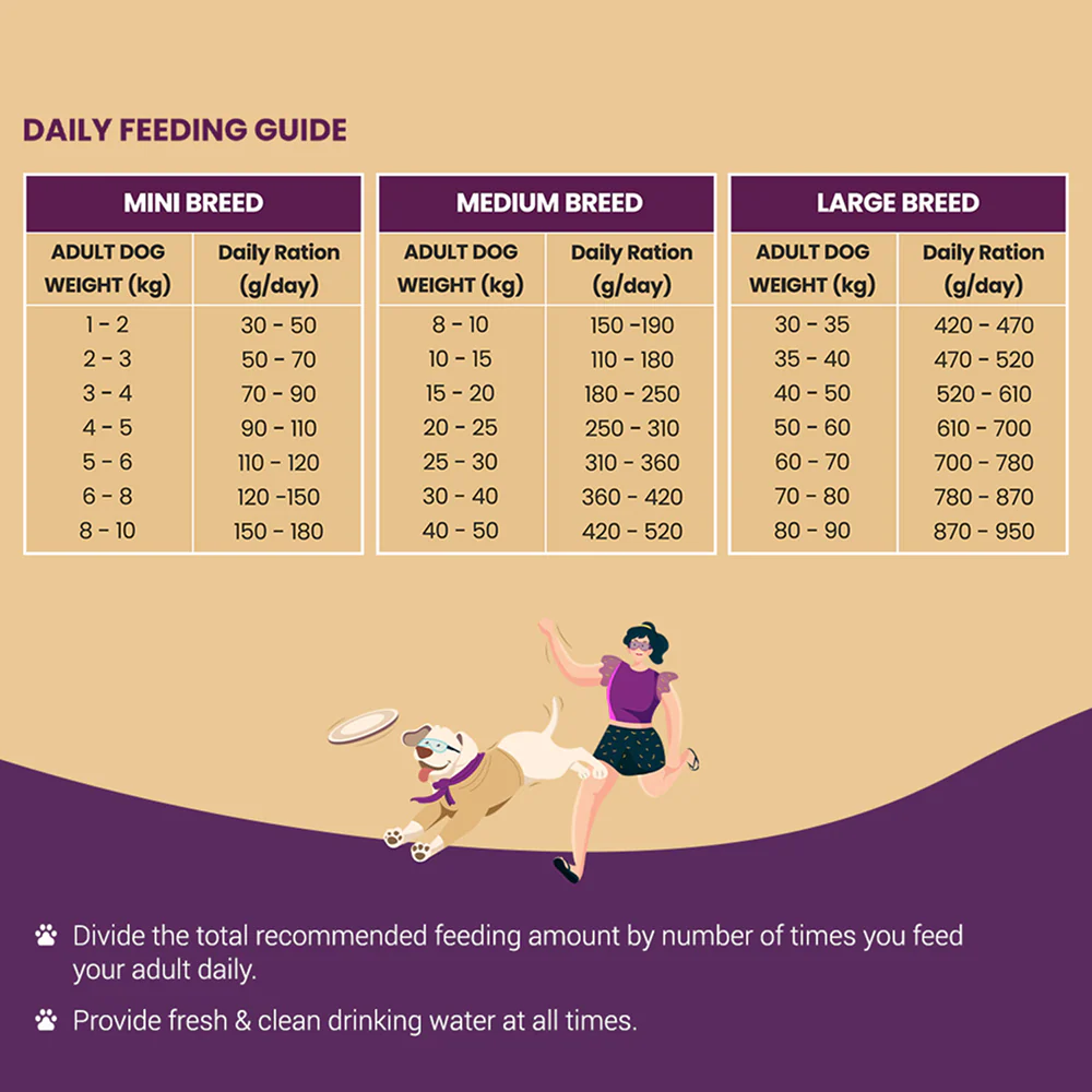 Bowlers Nutrimax Club Adult Dog Dry Food - Image 6