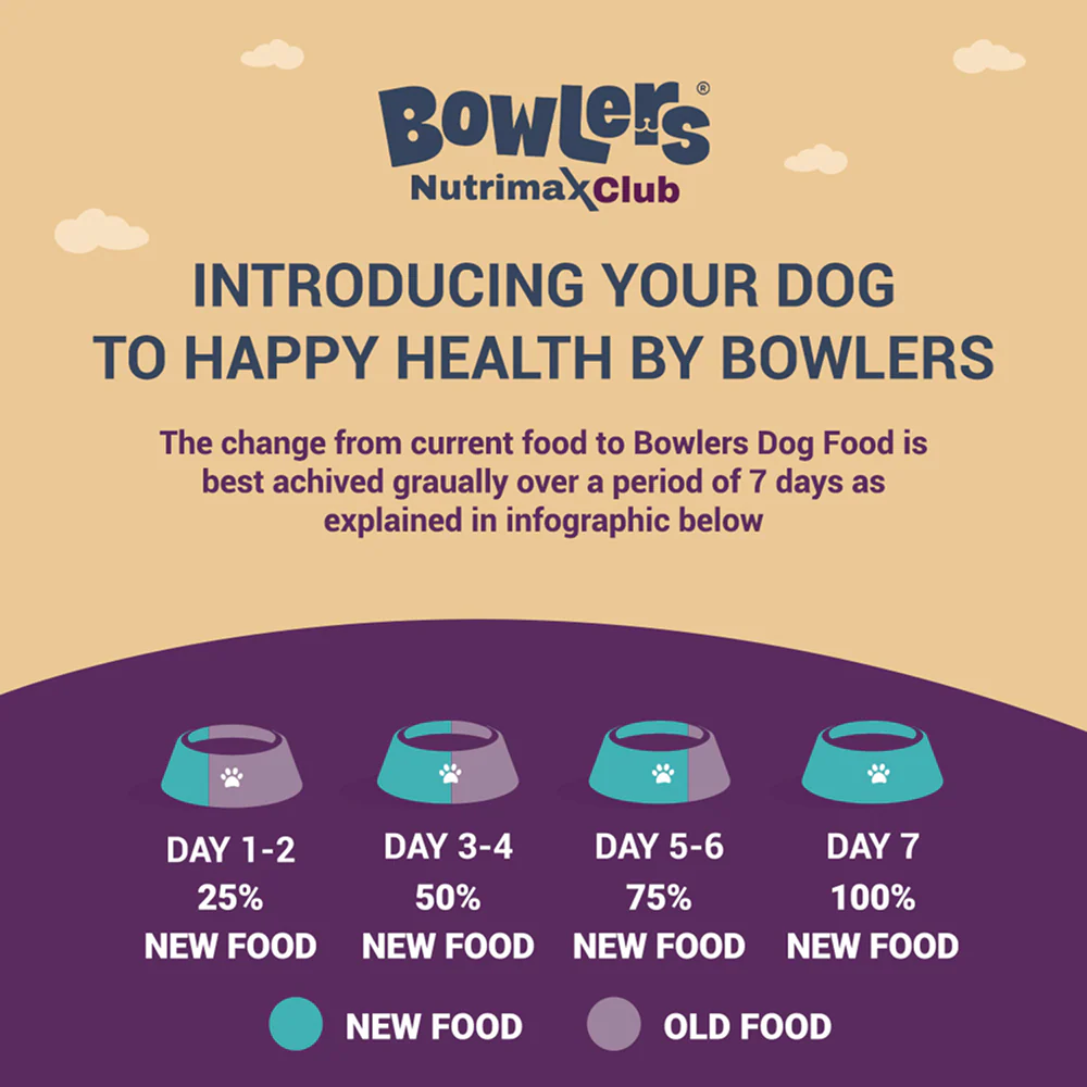 Bowlers Nutrimax Club Adult Dog Dry Food - Image 7