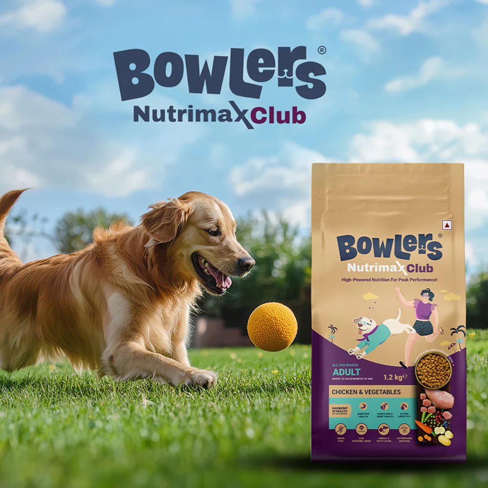 Bowlers Nutrimax Club Adult Dog Dry Food - Image 9