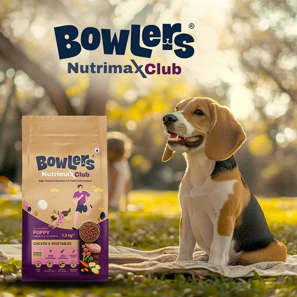 Bowlers Nutrimax Club Puppy Dog Dry Food - Image 2