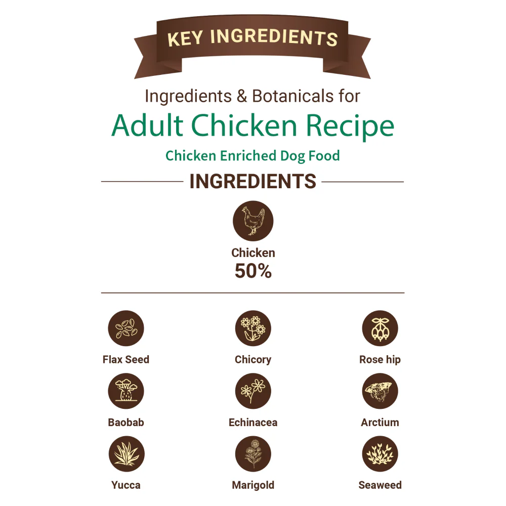 Bruno's Wild Essentials Chicken Recipe Adult Dog Dry Food - Image 2
