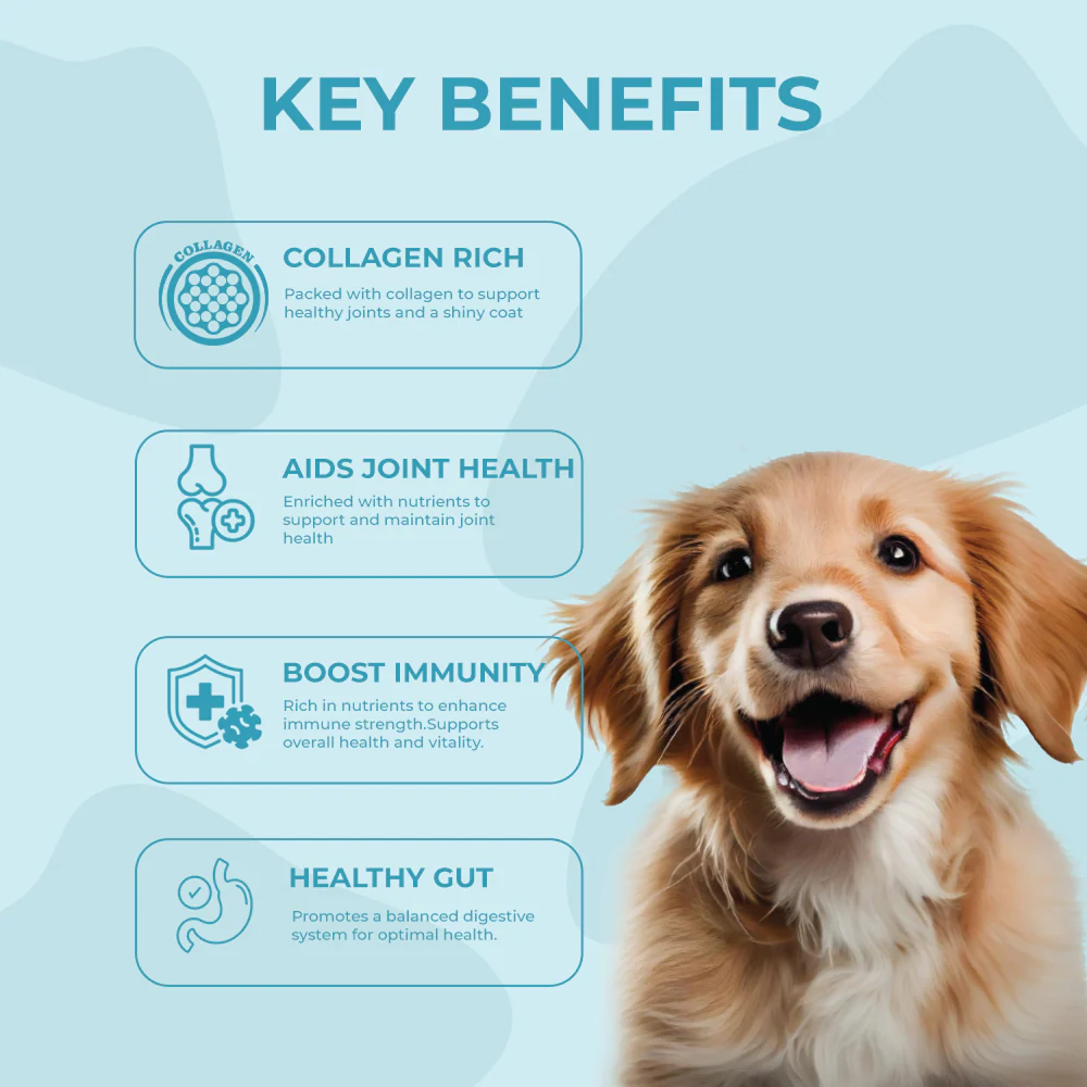 Bruno's Wild Essentials Fish Bone Broth For Dogs - Image 3
