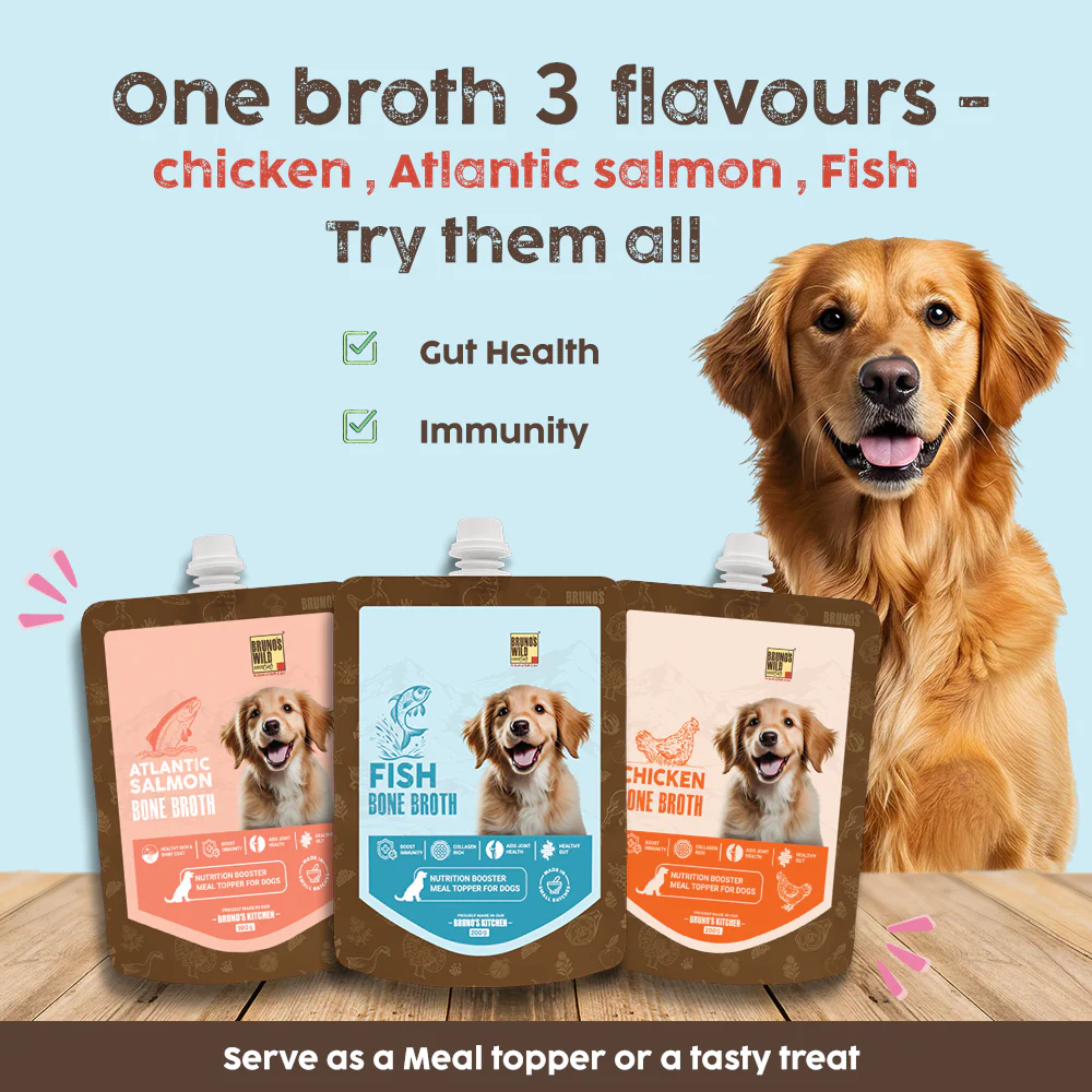 Bruno's Wild Essentials Fish Bone Broth For Dogs - Image 6