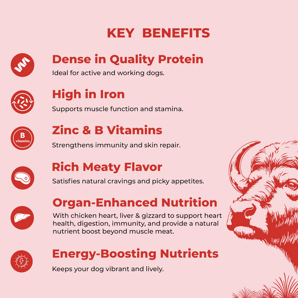 Bruno's Wild Essentials Slurpup Buff & Chicken Recipe Dog Wet Food - Image 3