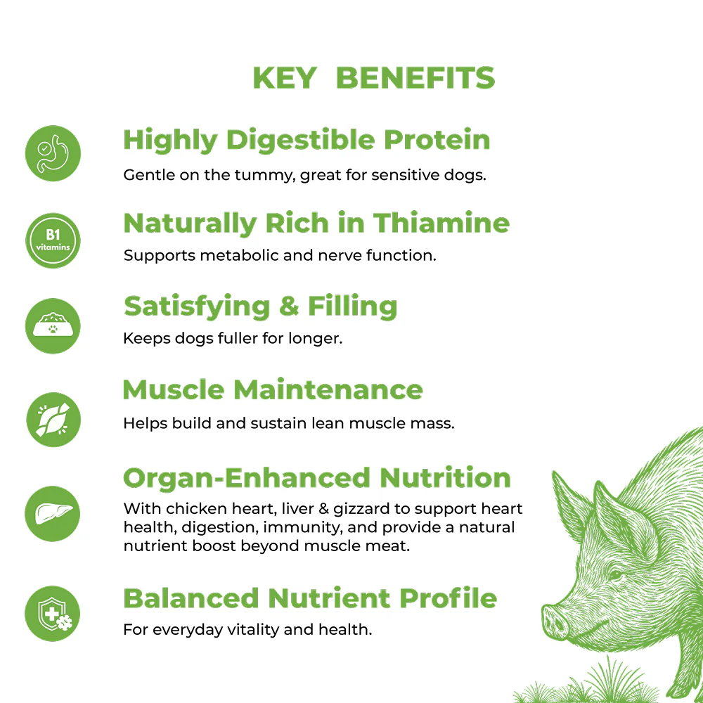 Bruno's Wild Essentials Slurpup Pork & Chicken Dog Wet Food - Image 3