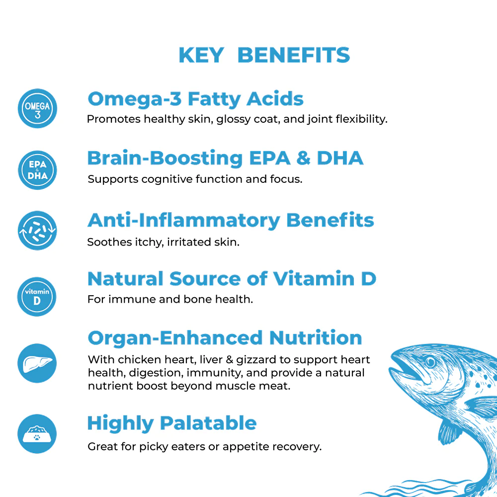 Bruno's Wild Essentials Slurpup Salmon & Chicken Recipe Dog Wet Food - Image 3