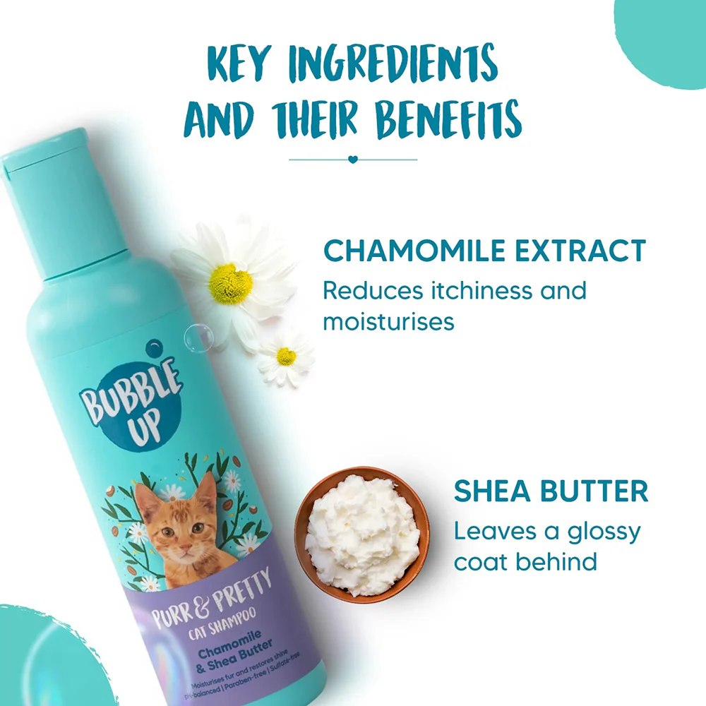 Bubble Up Chamomile and Shea Butter Shampoo for Cats - Image 2