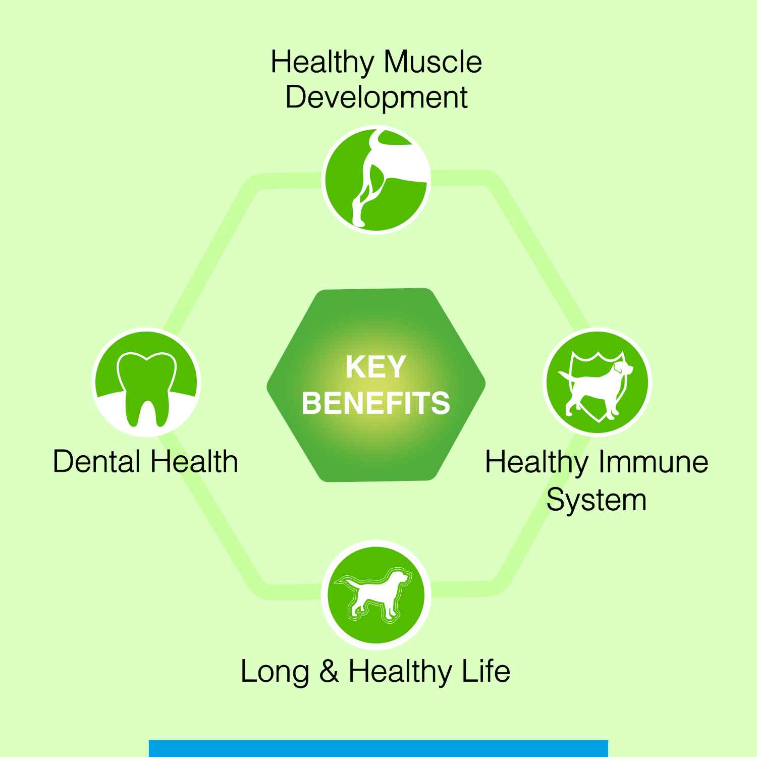 Canine Creek Ultra Premium Adult Dog Dry Food - Image 3