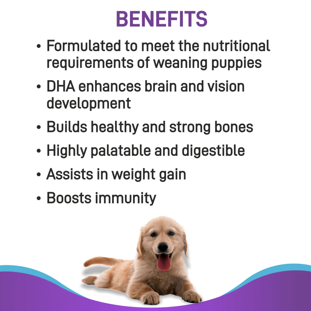 Canine Creek Pup Booster Puppy Weaning Diet for All Breeds - Image 3