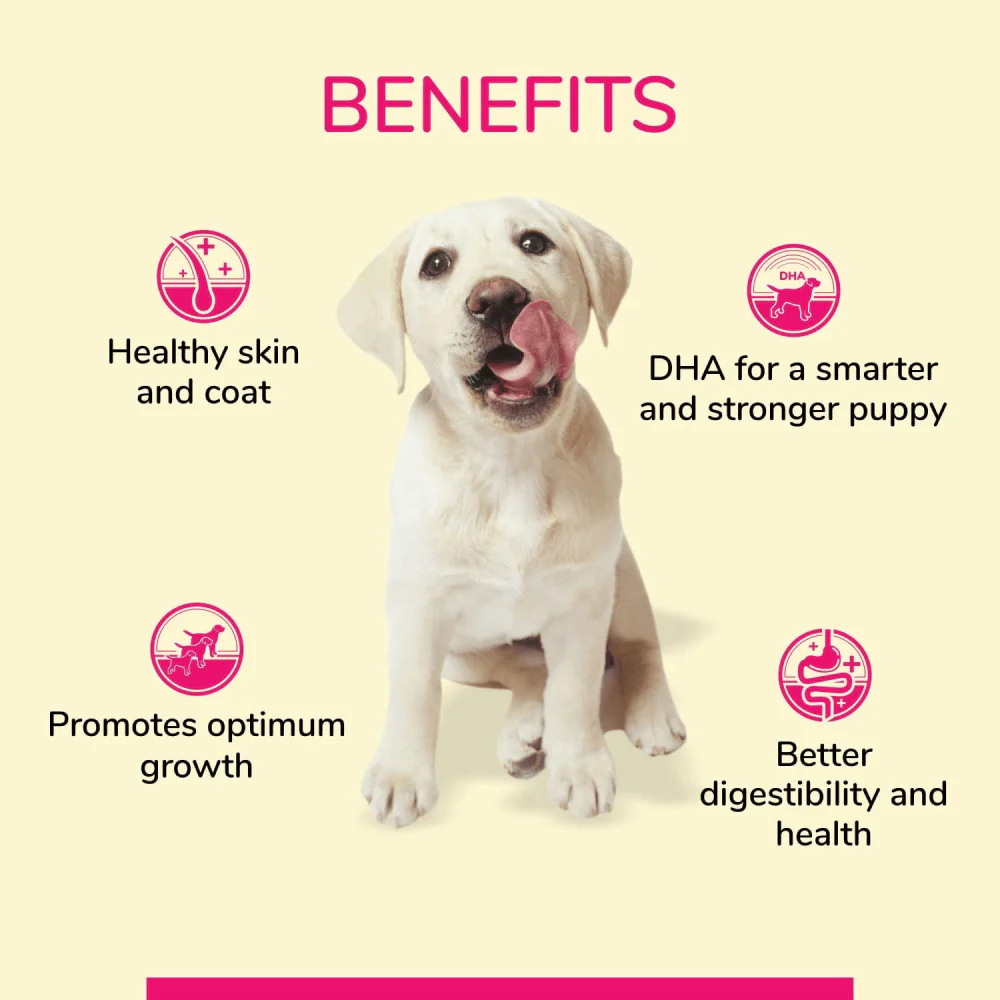 Canine Creek Ultra Premium Puppy Dry Food and Real Chicken Gravy Puppy Wet Food Combo - Image 11