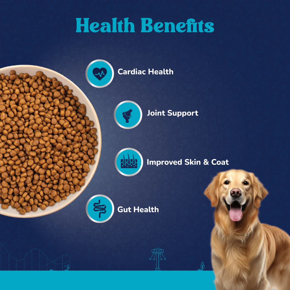 Carniwel Fresh Lamb Large Breed Adult Dog Dry Food - Image 3