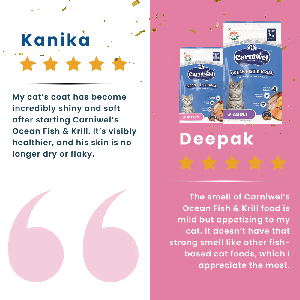 Carniwel Ocean Fish and Krill For Adult Cat Dry Food - Image 7