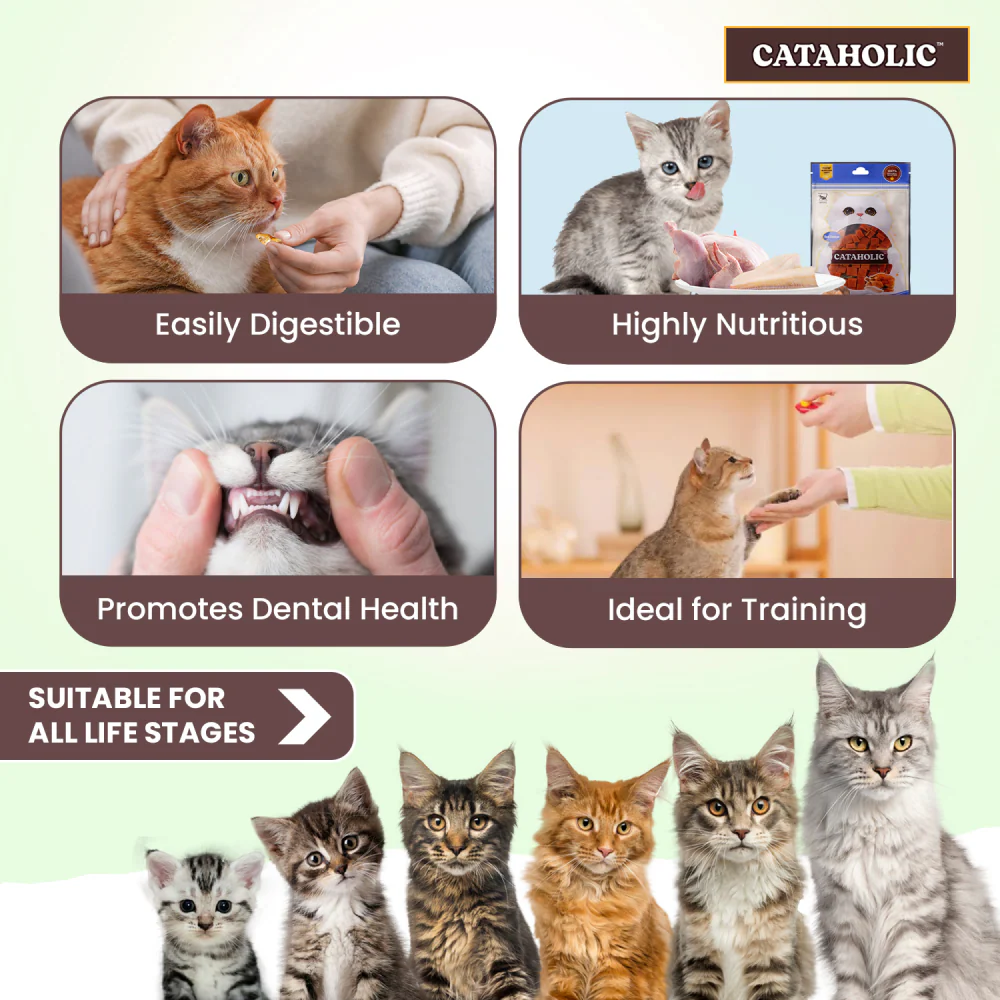 Cataholic Chicken and Codfish Cube Cat Treats - Image 6