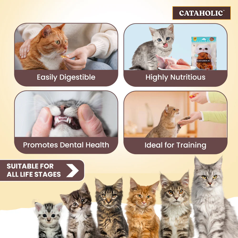 Cataholic Soft Chicken and Sunfish Spiral Cat Treats - Image 4