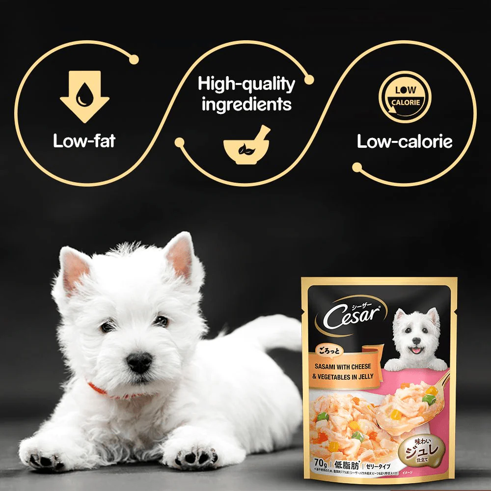 Cesar Sasami with Cheese & Vegetables in Jelly Adult Dog Wet Food - Image 4