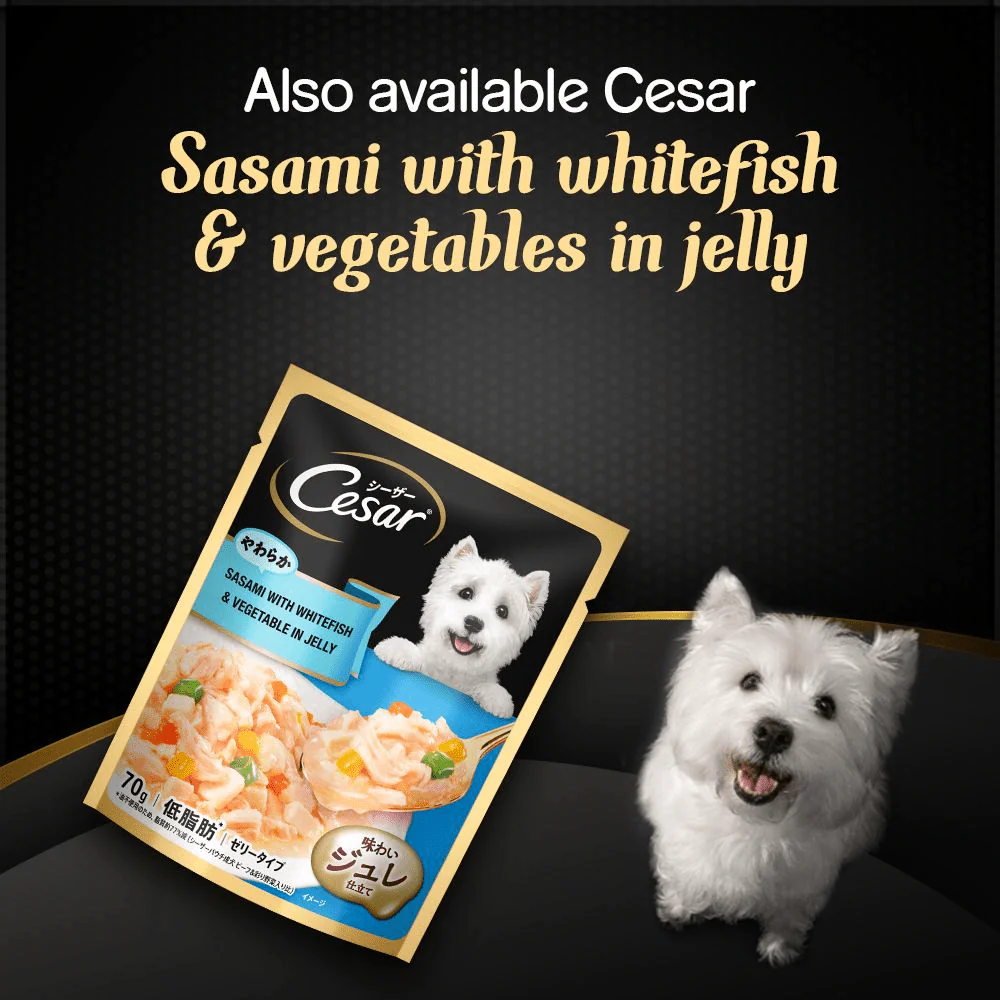 Cesar Sasami with Cheese & Vegetables in Jelly Adult Dog Wet Food - Image 7